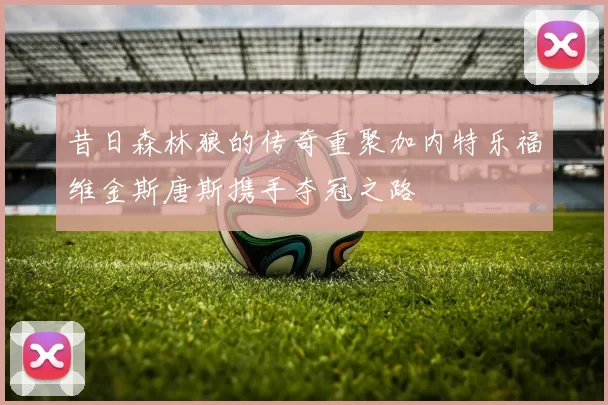 昔日森林狼的传奇重聚加内特乐福维金斯唐斯携手夺冠之路